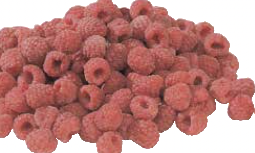 Red Raspberries 6 oz.